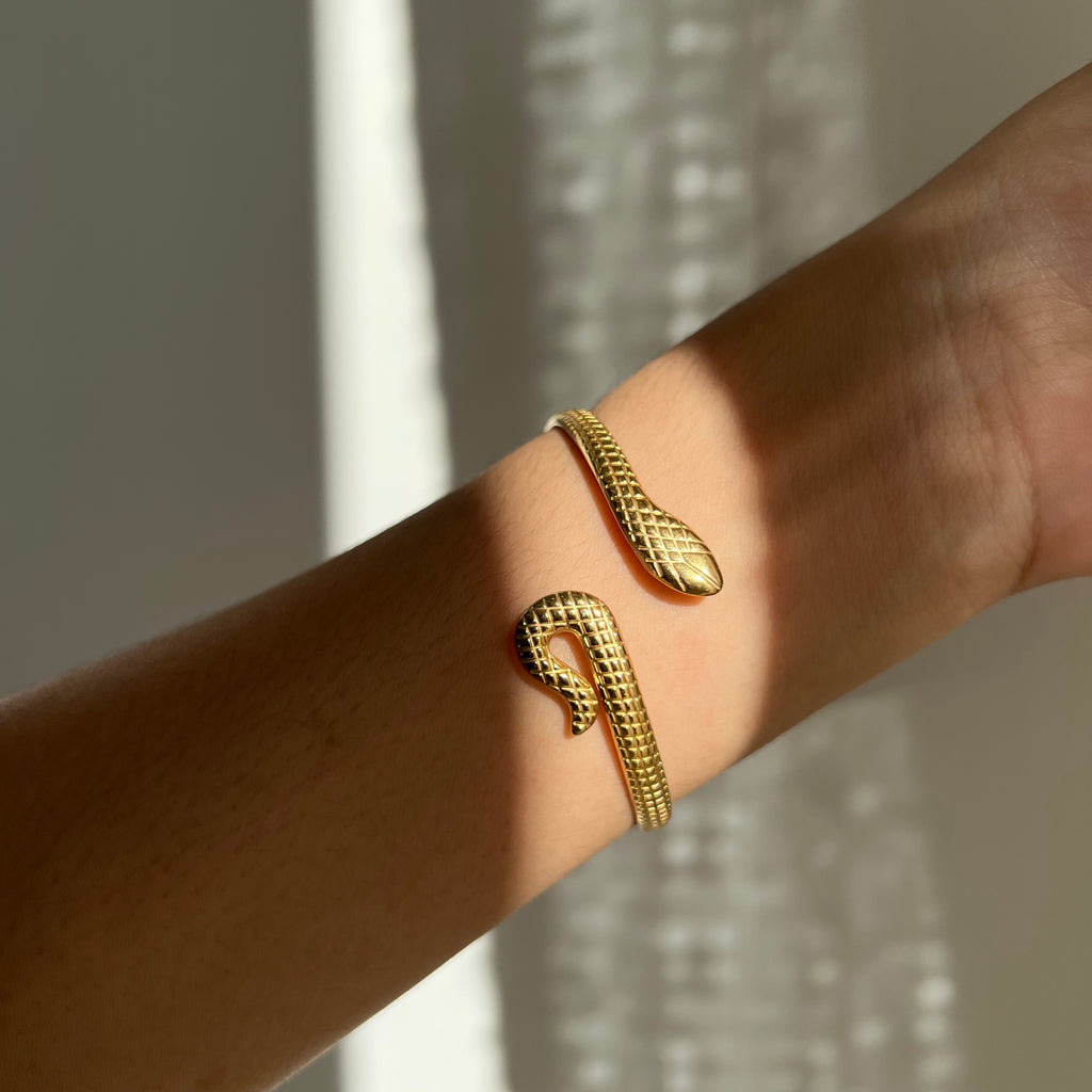 Serpent Titanium Bracelet