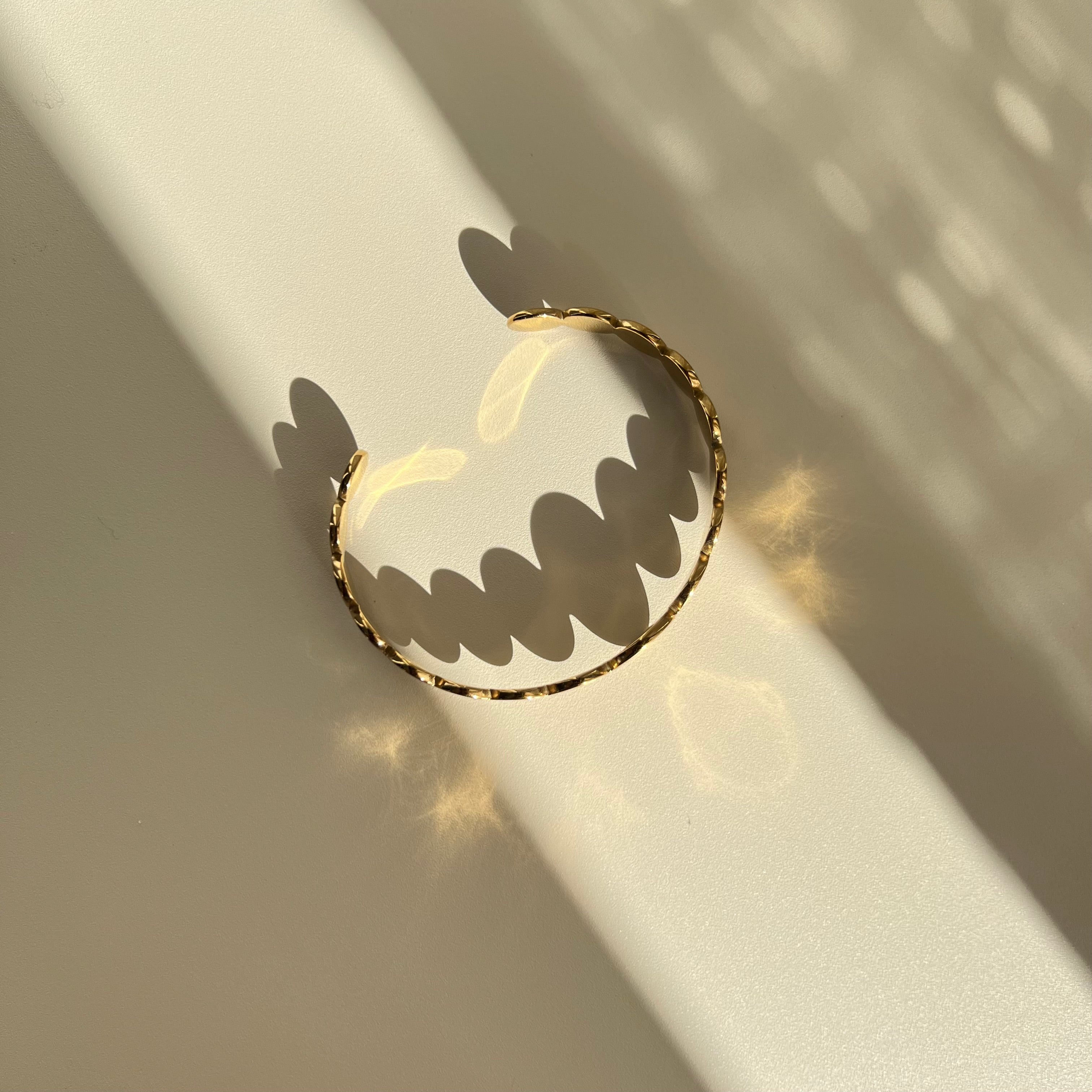 Aurelian Titanium Bracelet