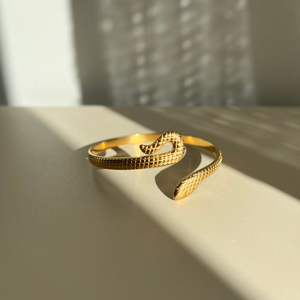 Serpent Titanium Bracelet