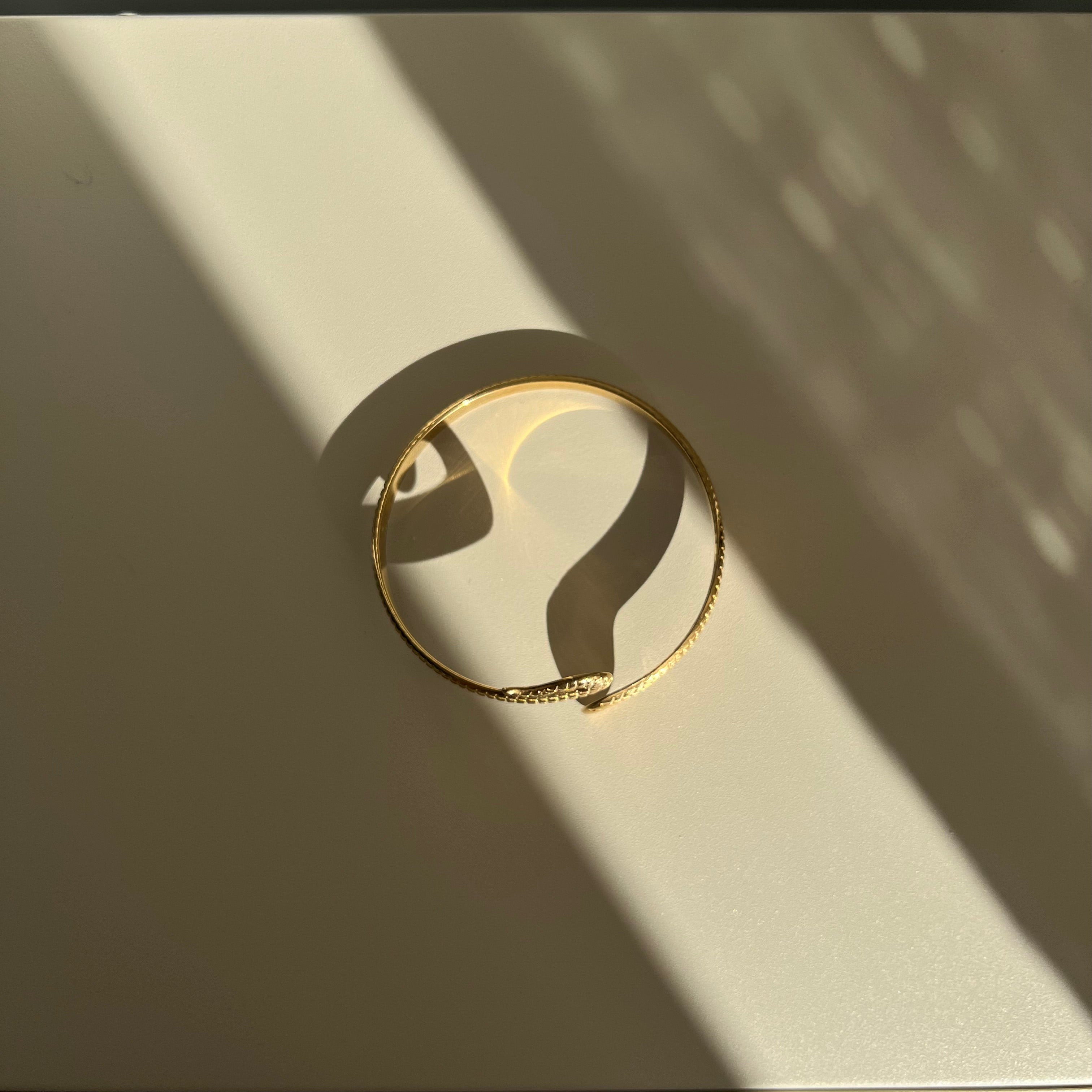 Serpent Titanium Bracelet