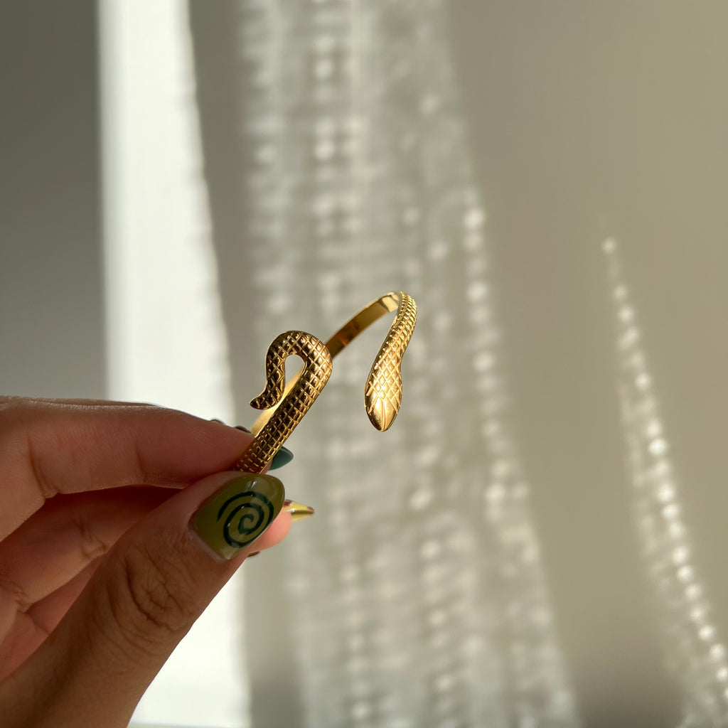 Serpent Titanium Bracelet